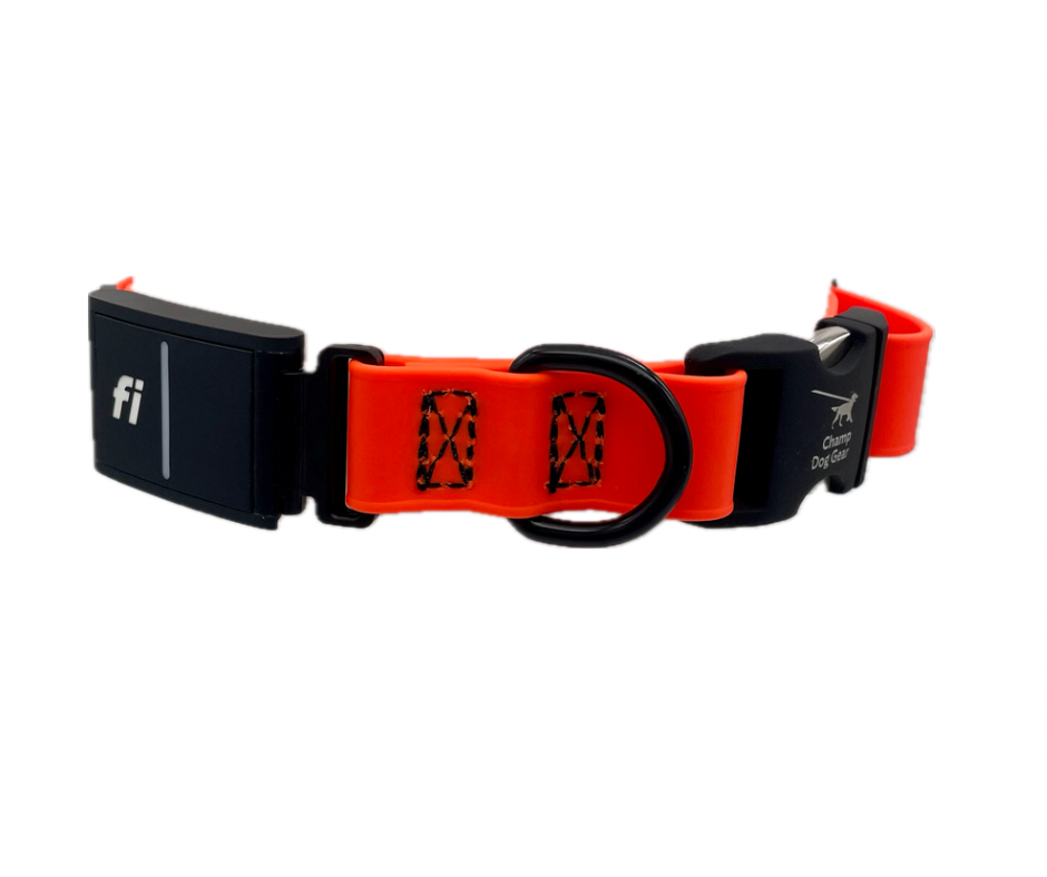 Fi Series 3 Compatible Snap Collar (Fits 15-25" Neck) - Personalized